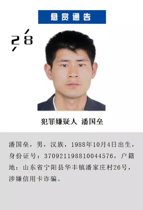 菏泽通缉网最新20名通缉犯,菏泽通缉网最新20名通缉犯，聚焦犯罪动态，警示社会安全