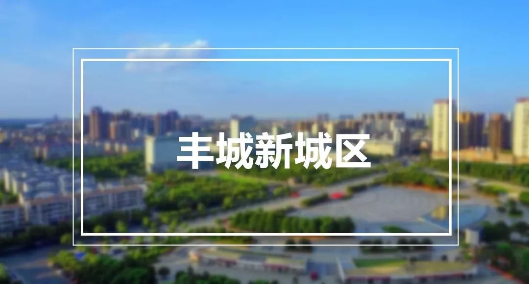 第1215页