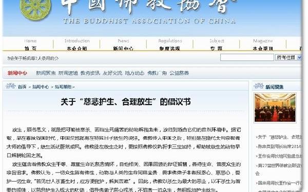 佛冷资讯精选，最新动态与解读✨