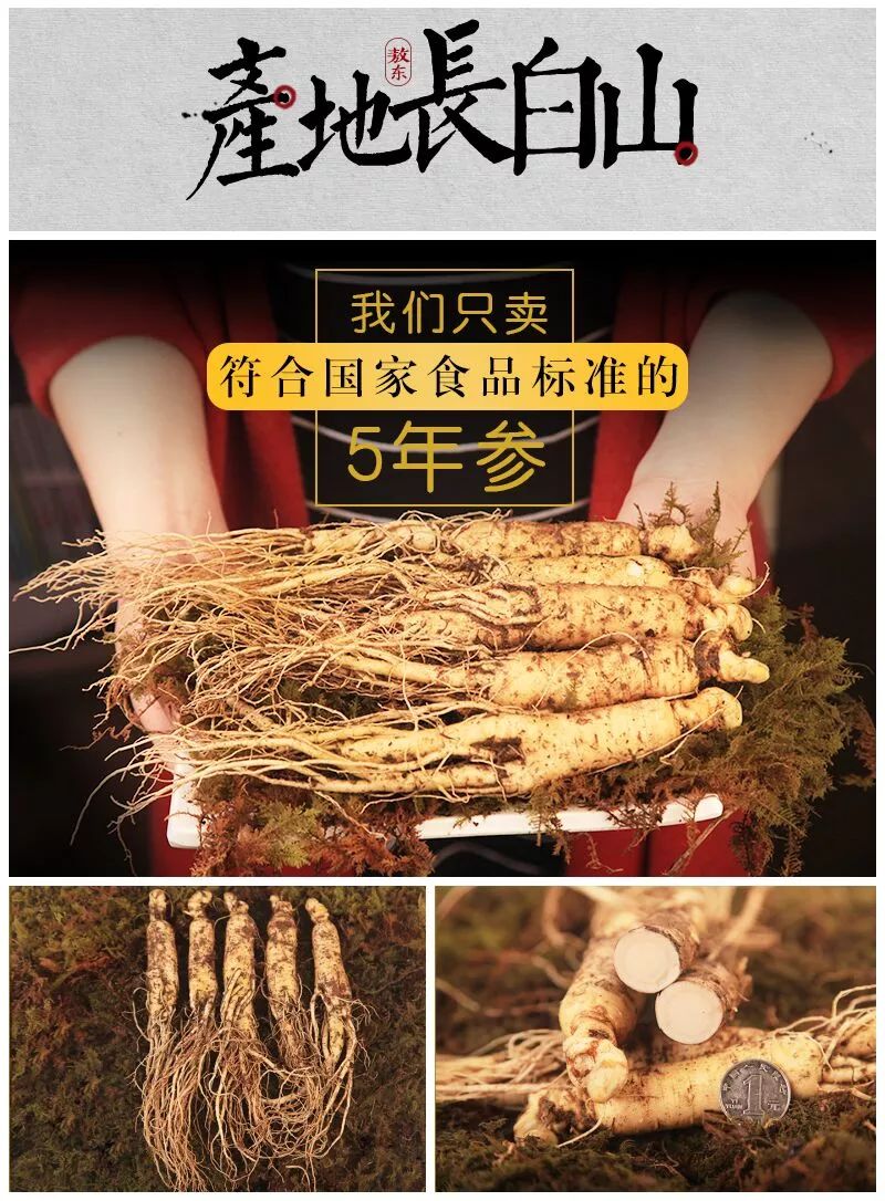 探寻鲜人参价格，自然之旅与内心宁静的交融
