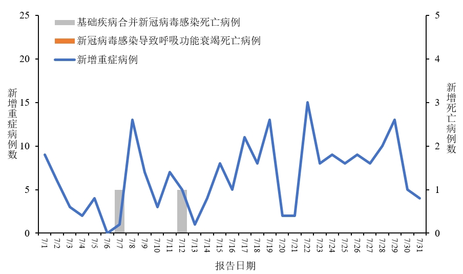 中国疫情最新动态与小巷深处的独特风味探秘