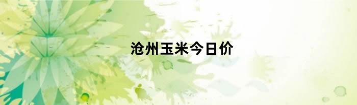 沧州玉米价格实时更新及最新行情
