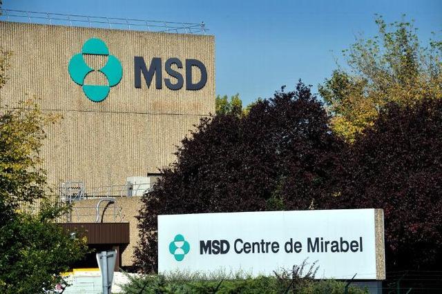 MSD币实时价格最新动态，洞悉市场趋势，掌握最新行情！