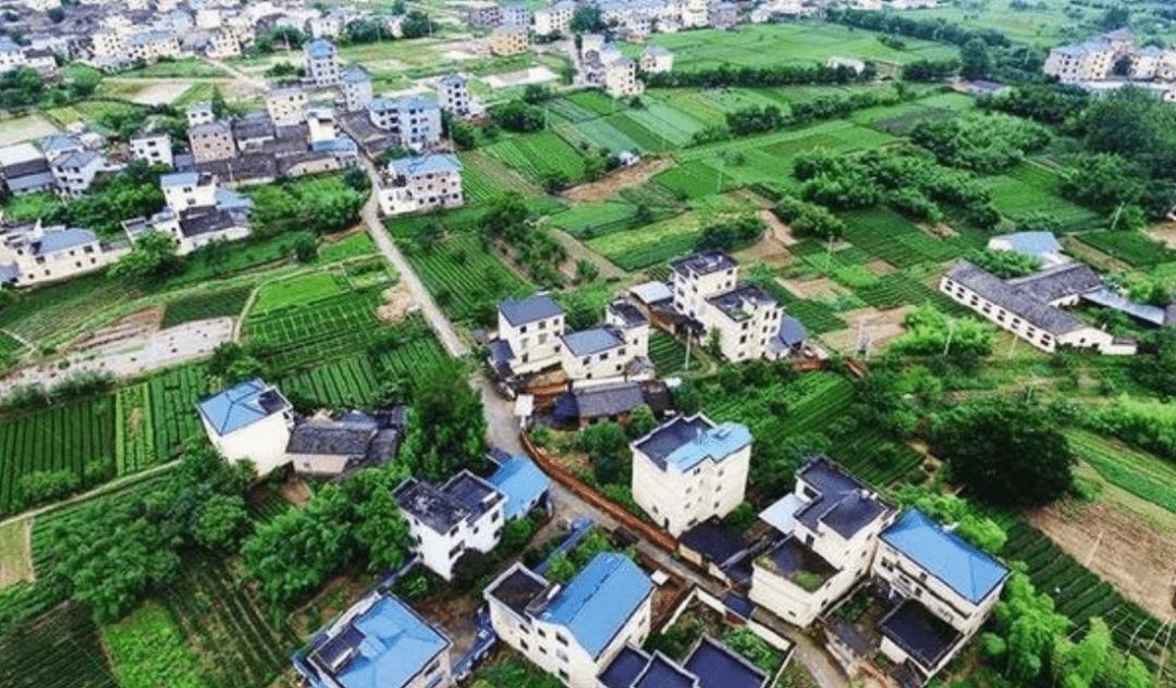 农村老宅基地最新政策解读，权威解读与指导手册