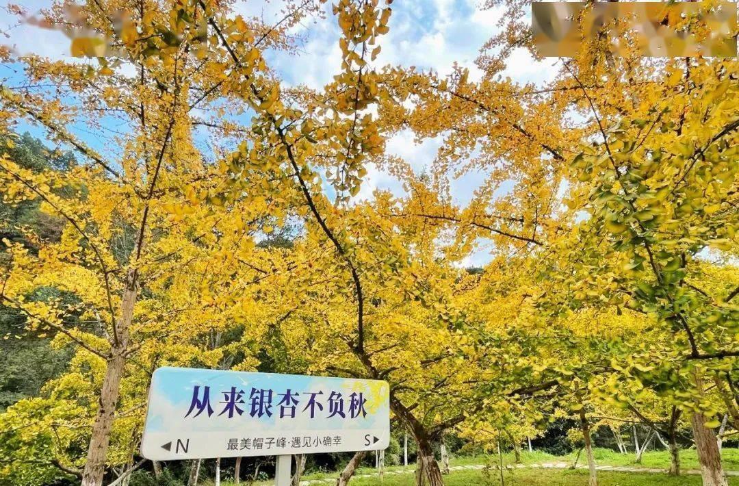 绞胎陶瓷工艺品展示 第264页