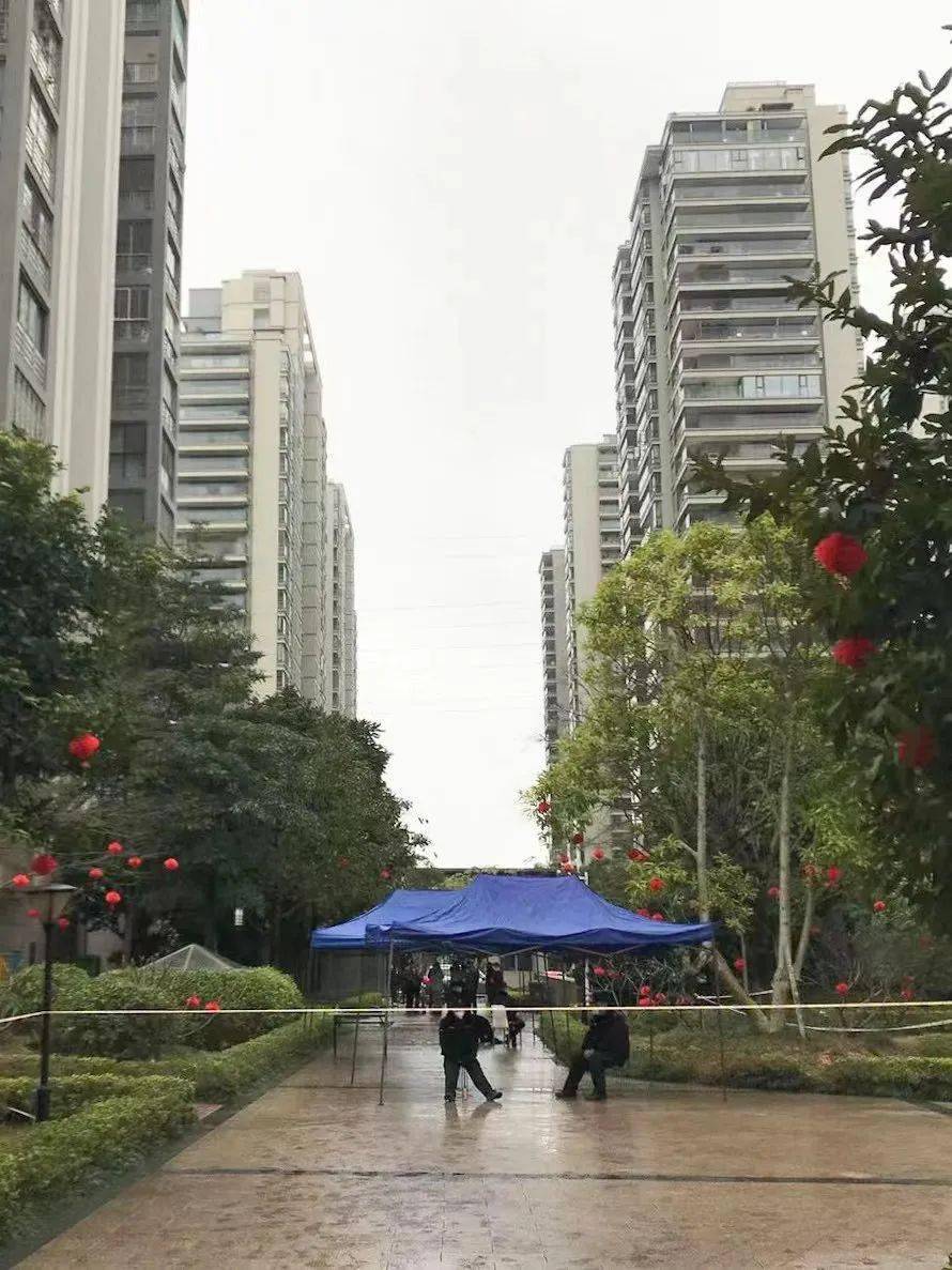 百色社区最新地址，邻里间的温馨日常