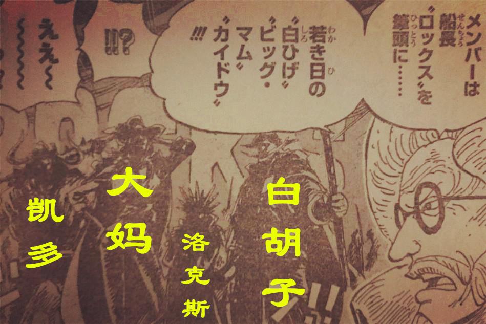 爱与陪伴的奇妙寻宝之旅，最新悬赏信息更新