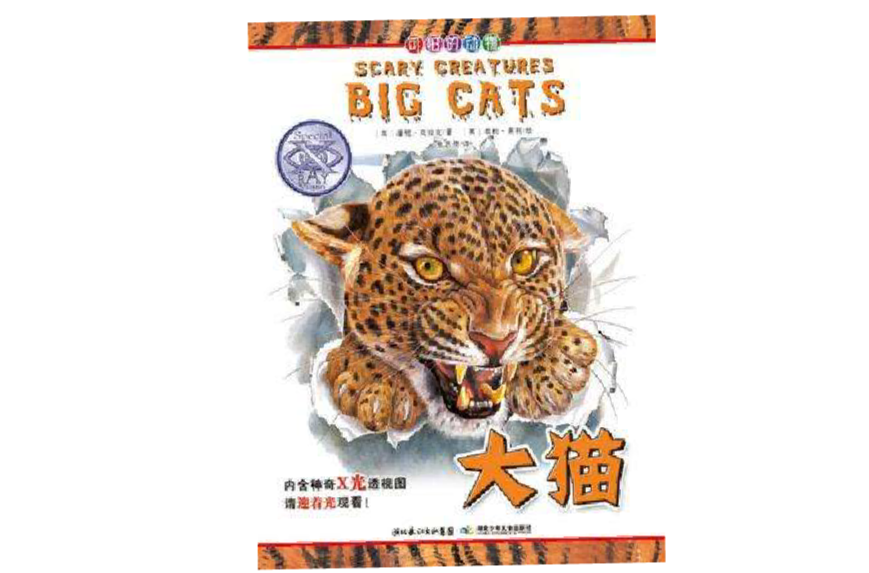 大猫电影，探寻电影艺术的无限魅力