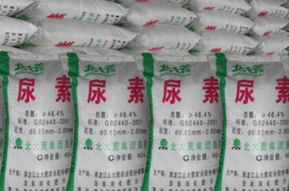 尿素价格行情变化中的学习之路，自信与成就的力量