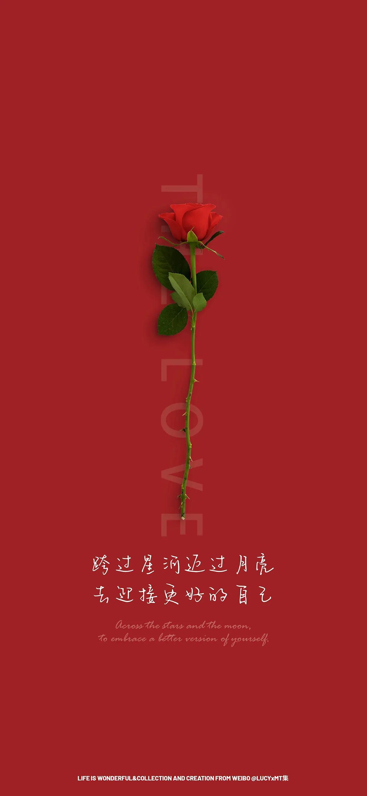 科技与时尚融合，2022最新手机重磅登场