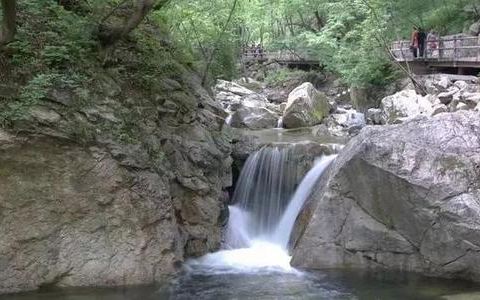 太平森林公园索道价格,太平森林公园索道价格，探索自然美景之旅，寻找内心的平静
