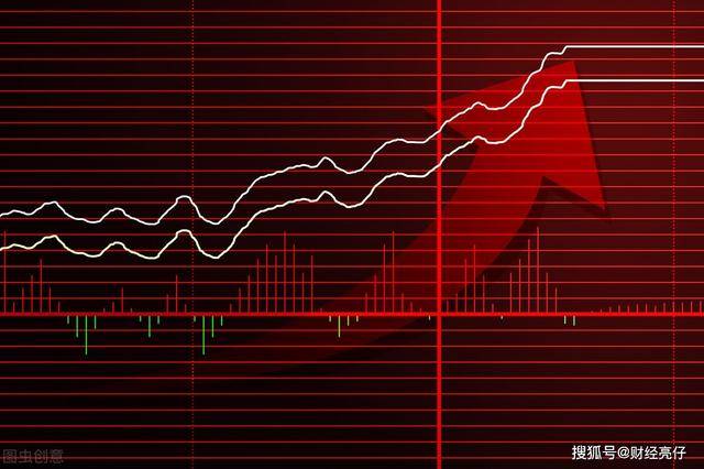 揭秘股票之王，投资领域的神秘面纱探索 📈