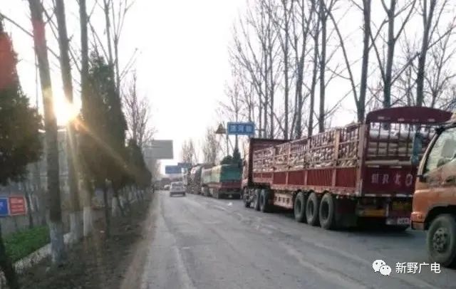 界首S328最新动态及其观点论述全解析