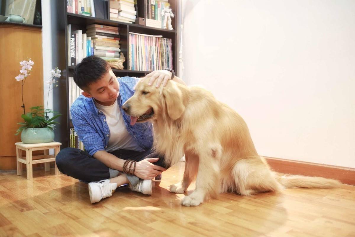 最新宠物伴侣，萌宠温馨日常的陪伴与乐趣