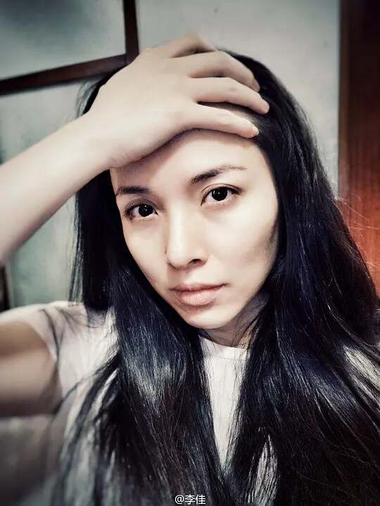 内蒙古李佳动态，聚焦发展，展望美好未来