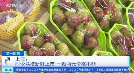 荔枝上市价格揭秘，历史背景、重大事件及时代地位深度解析