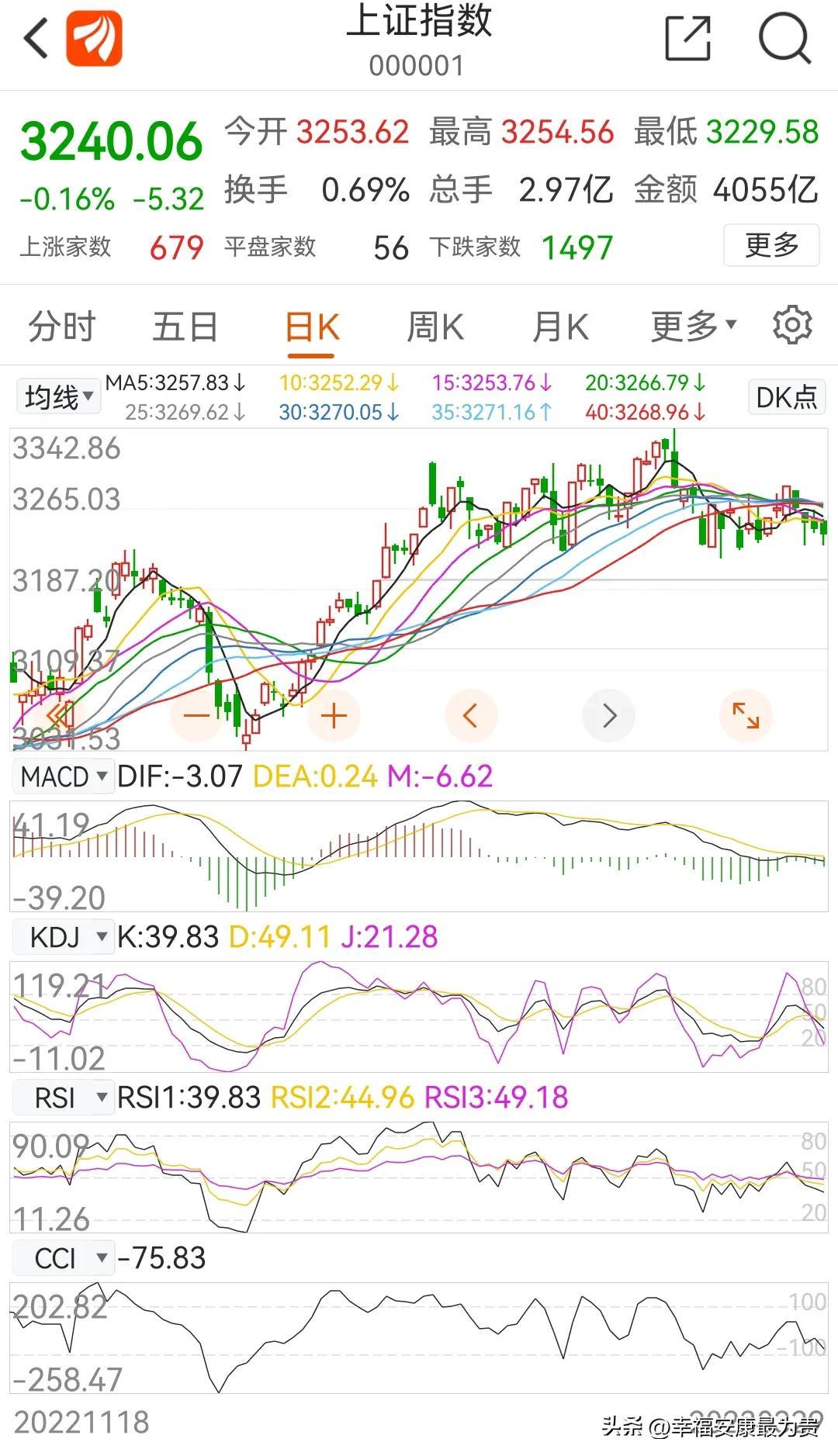 炒股模拟比赛，心灵与自然的奇妙之旅
