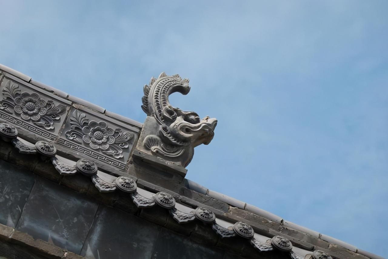 洛阳魏家坡，最新动态与春日趣事的温馨回忆