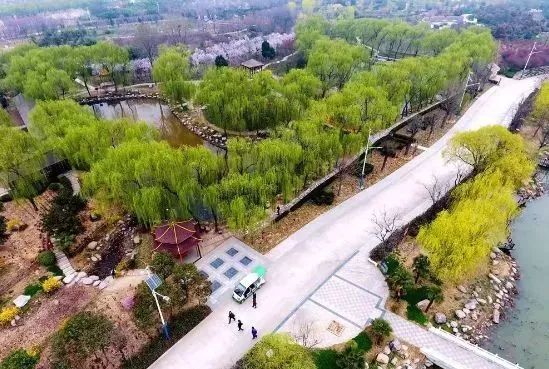 河南鄢陵县自然之旅，探寻内心平和宁静的最新体验