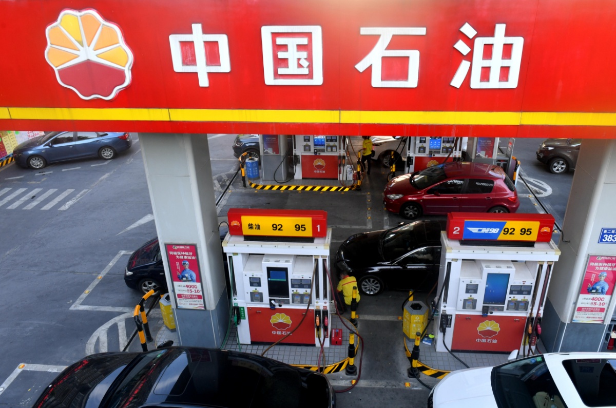 今日汽油价格最新动态，变化中的力量，学习与成就感的提升