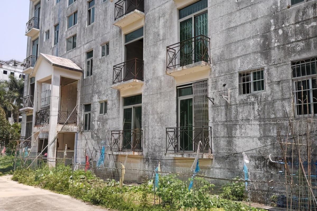 广东最新停工步骤指南揭秘