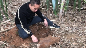 绞胎陶瓷工艺品研制 第50页