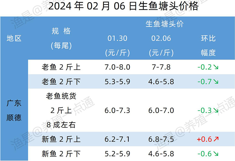 鱼最新行情，小巷美食探秘——品味独特鱼鲜