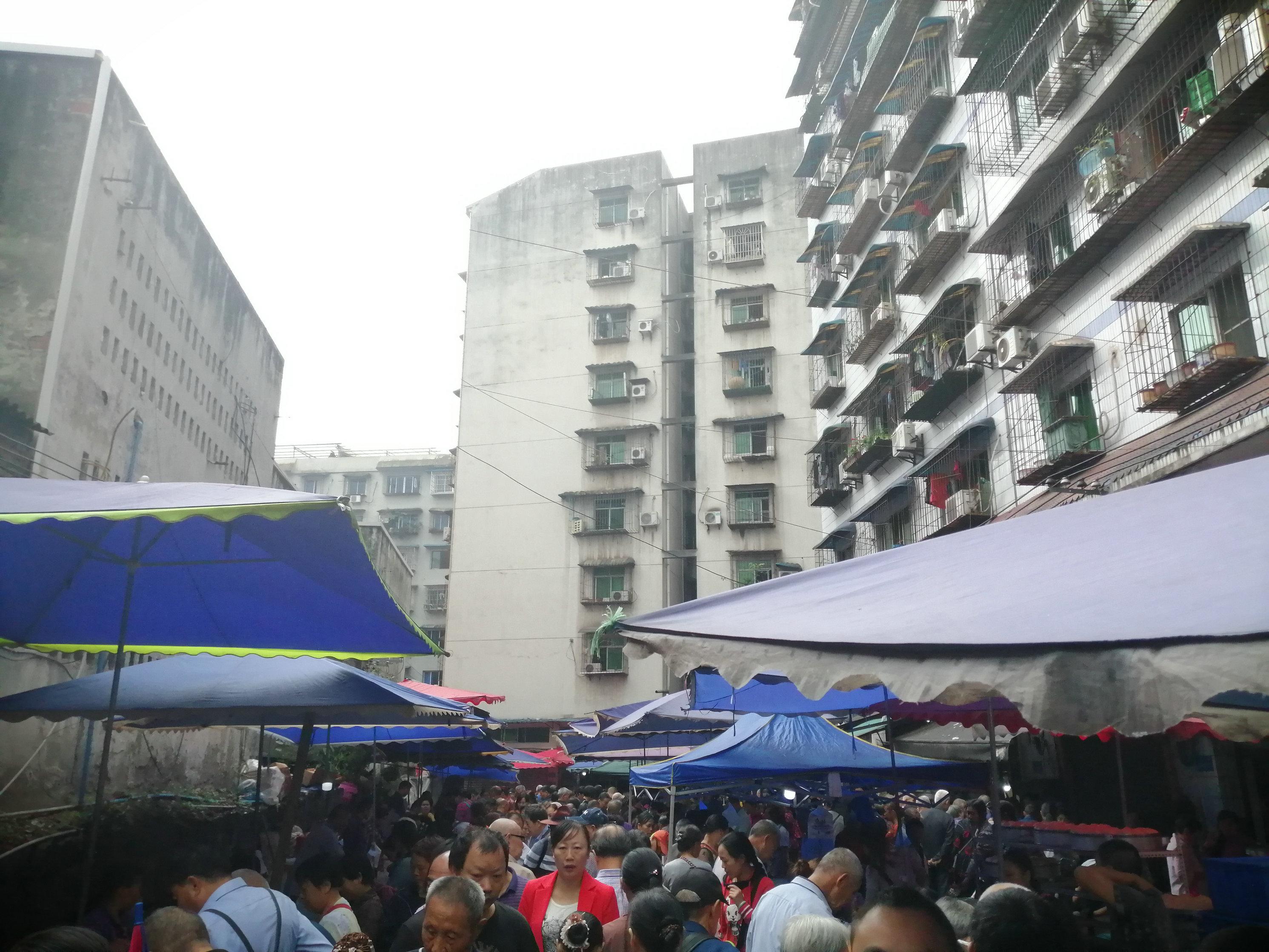 最新鲜猪肉，一路向前，学习成就自我提升之路