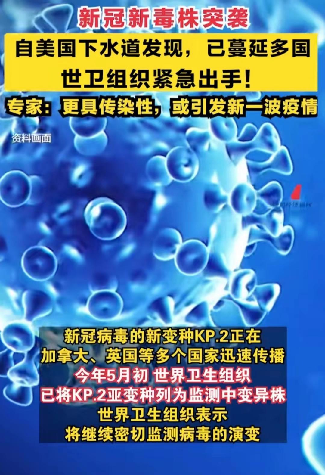 最新神秘病毒，小巷深处的独特邂逅探秘