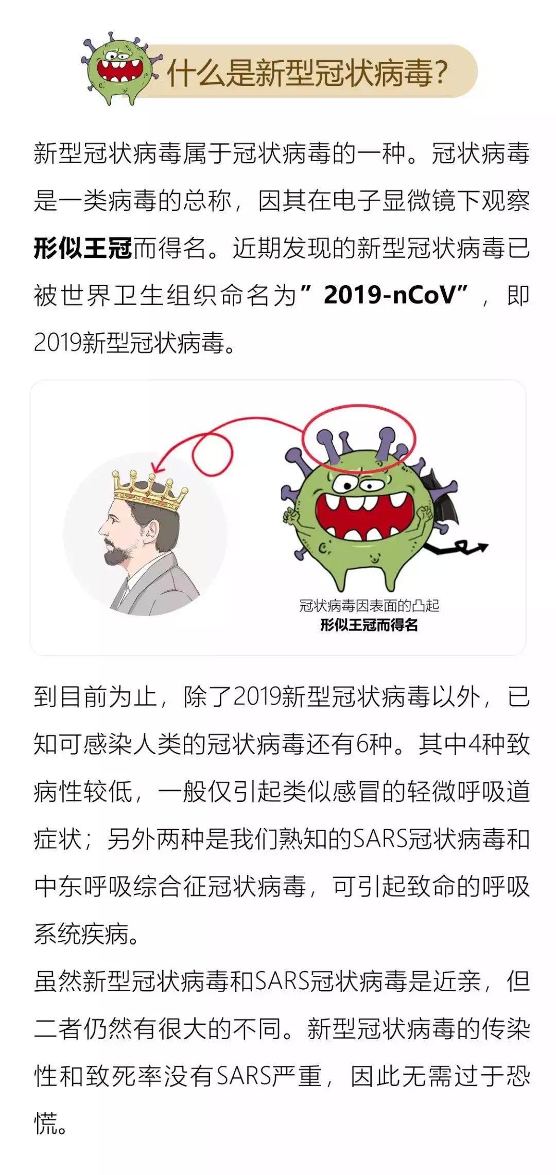 最新鸡冠病毒，日常趣事中的影响与启示