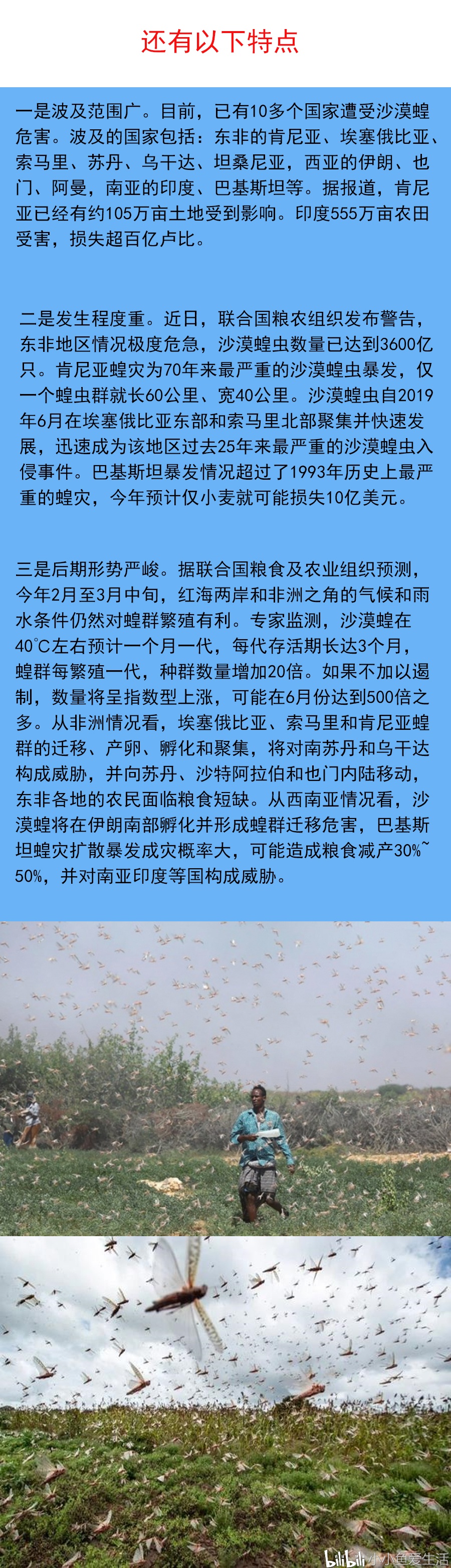 全球警惕，蝗虫灾难性生物入侵的最新危害