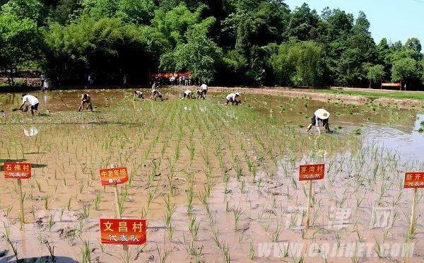绞胎陶瓷工艺品开发 第15页