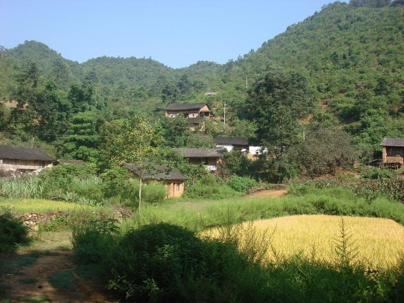 最新村介绍，探索新时代的乡村魅力与变迁