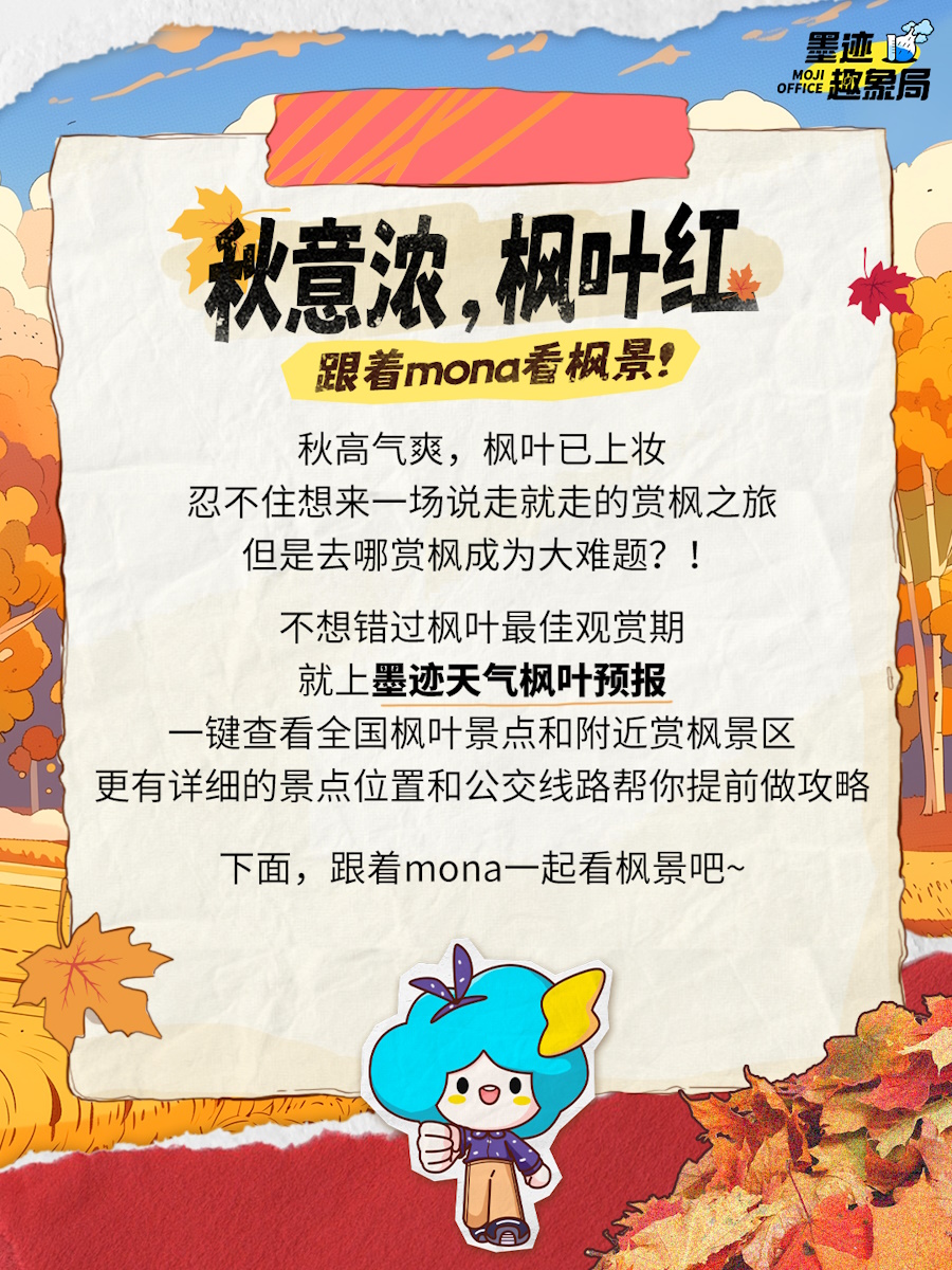 秋季美景独特魅力，枫叶红了最新篇章