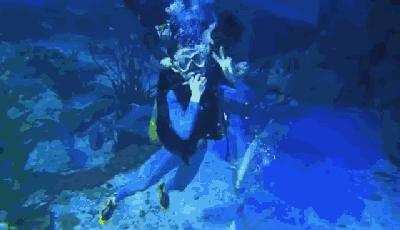 最新浮力地址详解，步骤指南与资源分享