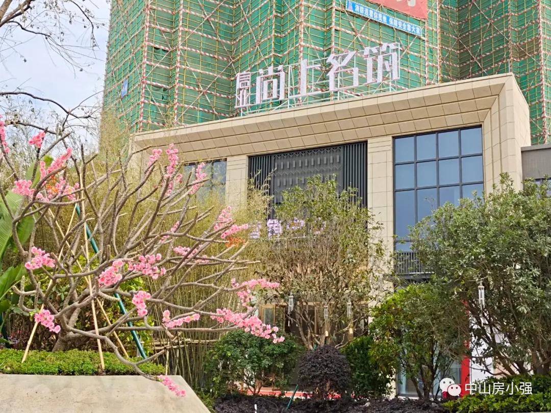 中山讯芯电子最新招聘，探索自然美景之旅，寻求内心宁静的伙伴招募启事