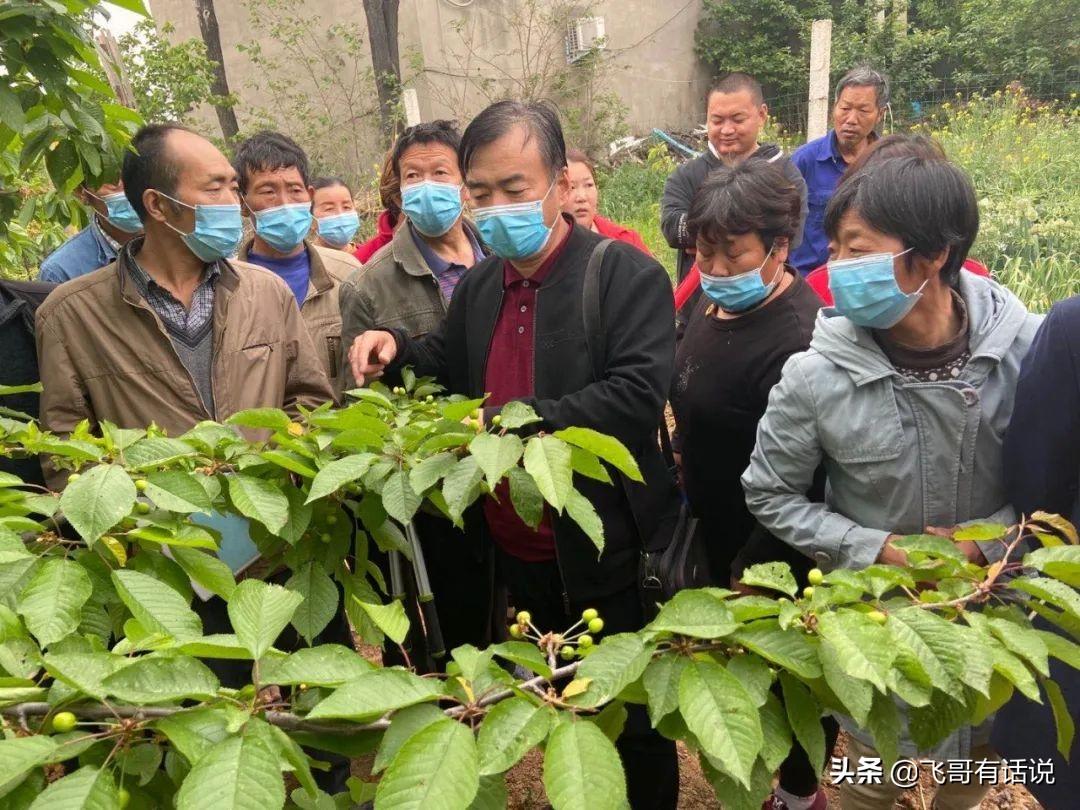 孟津麻屯最新招聘信息发布！求职者的福音✨