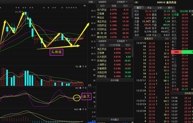 乐心医疗股票最新动态，全面解读股票行情与资讯全攻略