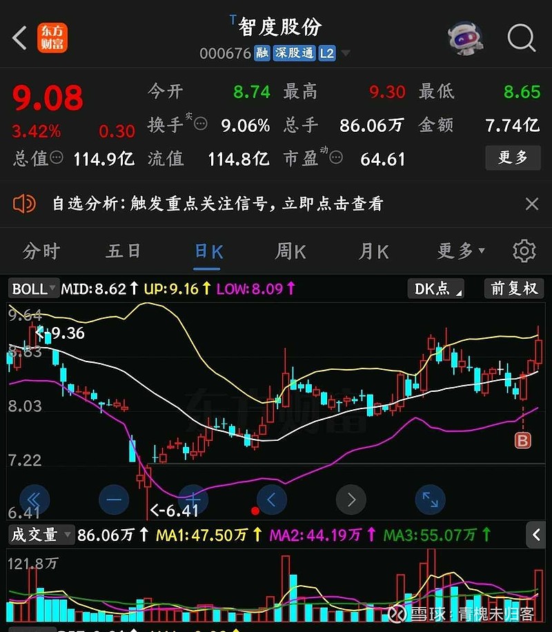 智度股份最新消息速递，获取指南全解析