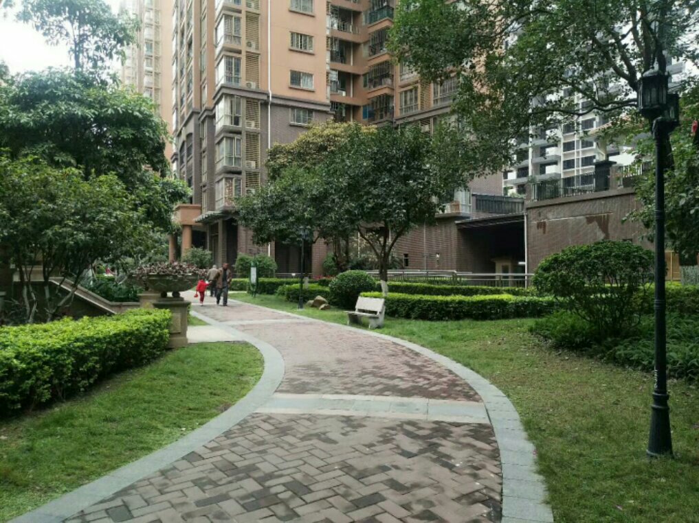 清远中恒公园最新房价揭秘，小巷深处的意外发现